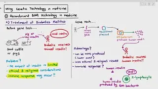 19-13 Using Recombinant DNA Technology in Medicine (Cambridge AS A Level Biology, 9700)