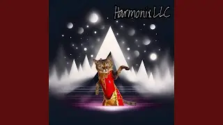 Bollywood Cat