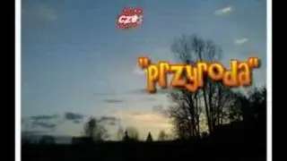 WIDEO POKAZ