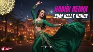 🌙 Habibi Remix Midnight Vibes | Arabic EDM Night Mood