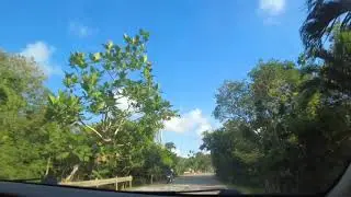 Cebu Road Trip 2021 | Moalboal to Dumanjug