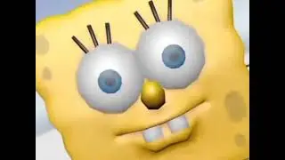 Yo pinto toda la casa