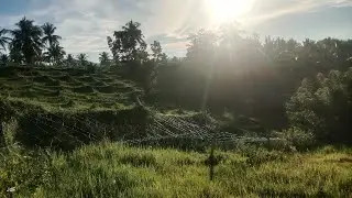 OLD AMPALAYA SPRAYING ROUTINES AND BANTING BASICS