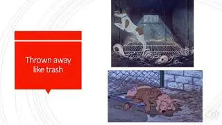 Raising Public Awareness of Animal Research in Movies