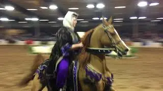 2018 Scottsdale Arabian Horse Show Experience- Flying Horse Studios