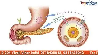 Diabetes Treatment #sugarpoint #diabetespoint #pancreaspoint #nawalsir