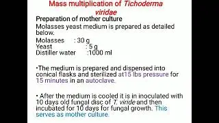 mass multiplication of trichoderma viridae #pathology #biocontrol #Agricoss