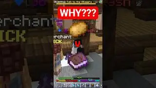 The DUMBEST Money Making Method... (Hypixel Skyblock)