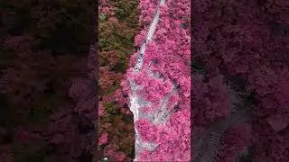 A beleza da China😍 #paisagem #good #youtubeshorts