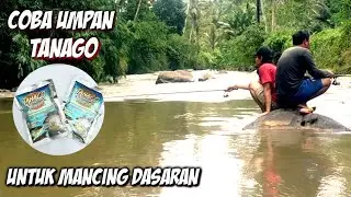 Mancing Dasaran Coba Pakai Umpan Tanago Dapat Ikan Gurih