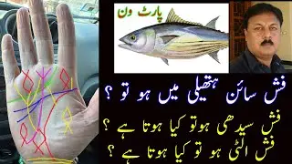 FISH SIGN MEANINGS IN PALMISTRY _ FISH ON DIFFERENT MOUNTS _ FISH SEEDHI HO YA ULTI HO TO ? SNN TV