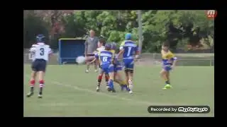 nrl future star , rugby league , hard hits , nrl
