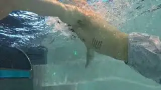 F&ouml;rdelar Endless Pools swimspa