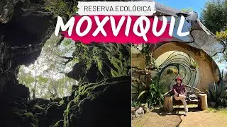Reserva Ecológica Moxviquil, el jardín botánico de San Cristobal de las Casas Chiapas