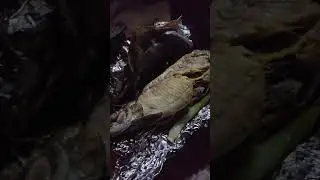 trout bbq #bbqlovers #foodlover #foodblogger