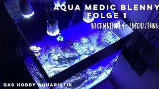 Aqua Medic Blenny Folge 1: Informationen & Einrichten | Das Hobby Aquaristik Meerwasser