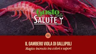 Il Gusto della Salute: il Gambero Viola di Gallipoli