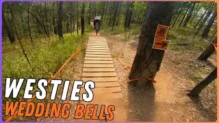 Two Laps Down WESTIES | Wedding Bells State Forest | MTB POV (4K)