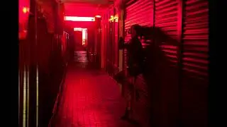 MacLeod - house of red curtains (Official Audio)