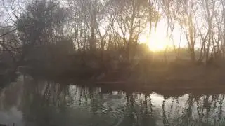 lake Huron Trib Steelhead - Active Angling