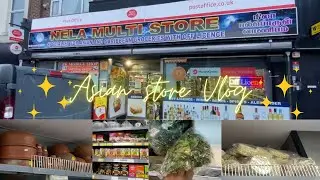 Exploring Nela Multi Store: Tamil Grocery | A Treasure Trove of Asian Culture on Dudley High Street