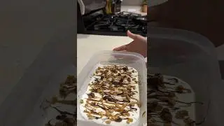 Frozen (Greek) Yogurt Bark