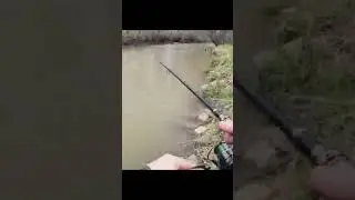 Catch the big ones! Compact telescoping rod and reel for traveling.🎣🐟