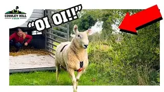 НАСТАЛО ВРЕМЯ ДЛЯ КРОЛИК-ДЕЙСТВИЙ!