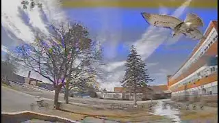 Patmos Xpress flies again - SpeedyBee FS225 V2