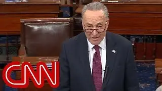 Schumer: I offered Trump border wall