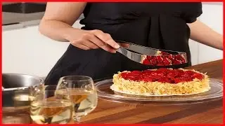 STAINLESS STEEL CAKE SLICER & SERVER