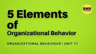 5 Elements of Organizational Behavior