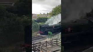 Merchant navy 35005 &lsquo;Canadian pacific&rsquo; passing through arlesford station (the watercress line)