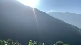 Sunlight dancing through the jungle 🌞🌿