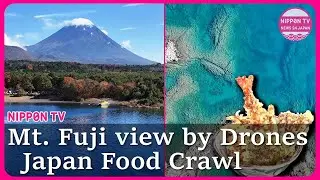 Autumn Travel: Mt  Fuji originals  views by drones and food crawl(ARCHIVE)