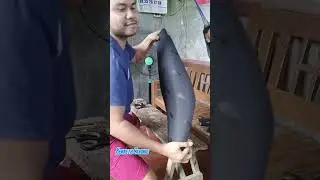 birada ta