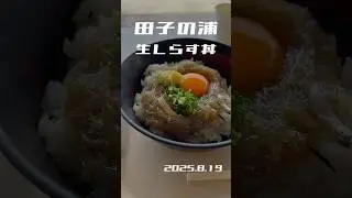 田子の浦 生しらす丼 食べてみた 2025.8.19 #静岡 #富士市 #グルメ