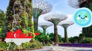 Singapore Economy - A Deep Dive into Its Business Ecosystem (5 Minutes)