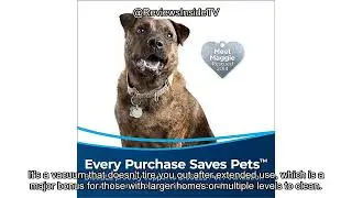 BISSELL 24613 Pet Hair Eraser Turbo Plus Review: Is It Worth the Investment for Pet Owners?