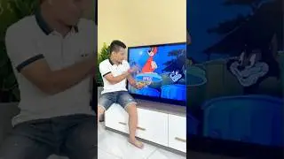 Cat ready to drive alcohol #funny #amusingmoments #memes #momentstube #comedy #besties #funniestvide