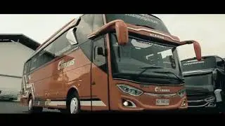 GT TRANS Big Bus 50/60 seat
