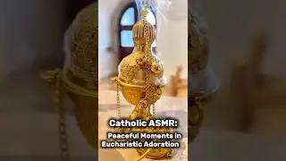 Holy Stillness: ASMR in Eucharistic Adoration #PopeLeoXIV #VaticanCity