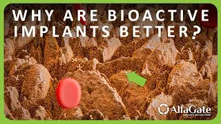 Bioactive Calcium Phosphate Surface Explained
