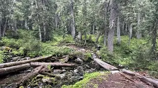 Huckleberry Creek - 8/17/25