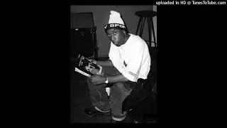 [FREE] Boom Bap Type Beat X Big L Type Beat | Freestyle Rap Instrumental