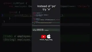 LLDB commands - po vs v #iosdeveloper #debugging #ios #xcode