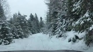 Subaru Outback 2010 in winter forest