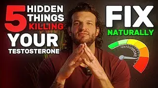 What Really Causes Low Testosterone (and Why Your Labs Miss It)