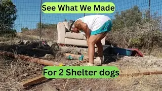 Off Grid Build Dog Enclosure
