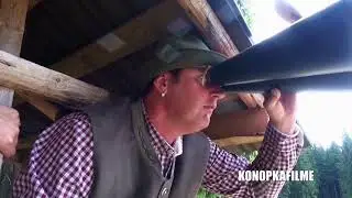 Die Vogelscheuche